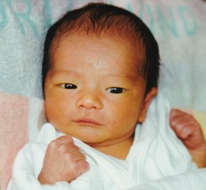 プリプリの胎盤を作るには！