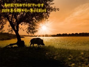 2019年のスタートです！あけましておめでとうございます