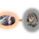 引き寄せの法則とコンフォートゾーンを出ること