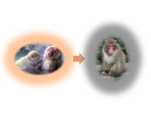 引き寄せの法則とコンフォートゾーンを出ること